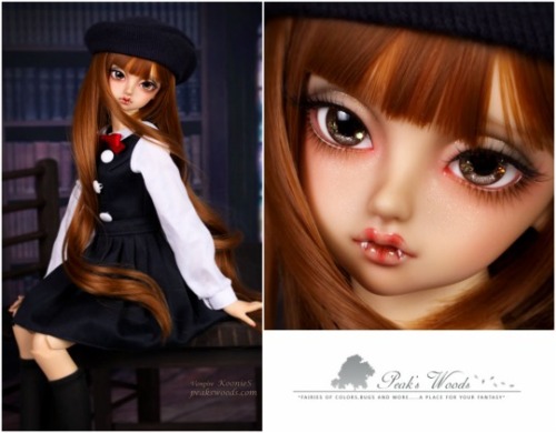 dollstowishfor:  44.5cm Fairies of Bugs (Limited) - “School of Rock, Vampire KoonieS” Oc