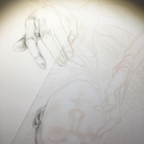 Starting with the hands, I&rsquo;ll thank myself later.. _______________________________________