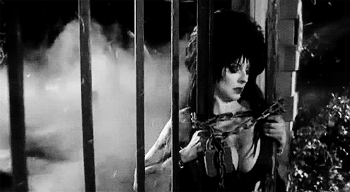 classichorrorblog: Elvira: Mistress of the DarkDirected by James Signorelli (1988)