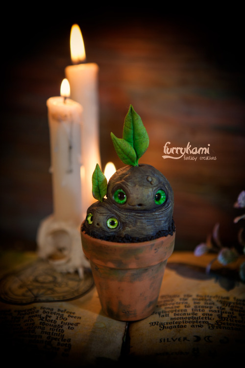   New mandrakes are available here  SHOP     Instagram   Facebook     DeviantArt     Tumblr    Вко