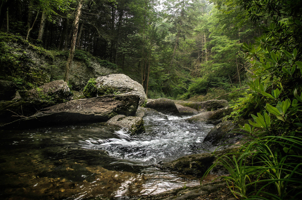 darkface:  Clean Mountain Water (by kimberly ann kern) 