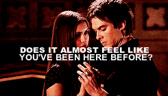 lovelifelove2013:  “Here lies elena gilbert a fun girlfriend and an amazing friend.”