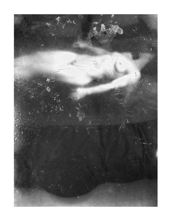 patrickgomme:  N°6334 2014 - © PATRICK GOMME