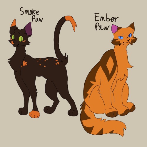 Started Working On My Warrior Cats Story. Here Are All The Important Characters That Have Speaking Roles!