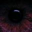 moodyvision