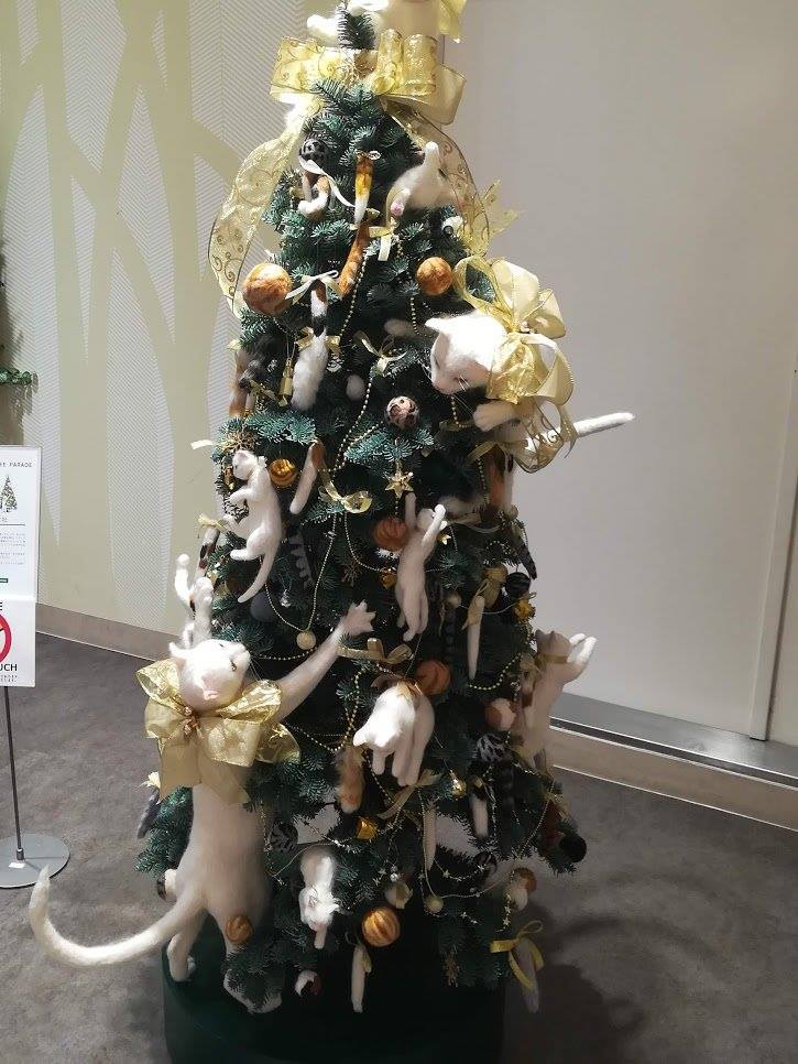 catsbeaversandducks:  For cat lovers who don’t have  feline friends at home.Via