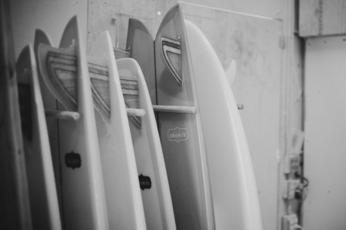 surfing-in-harmony: ✌