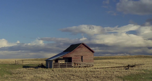 redrumland:My Own Private Idaho (1991) Directors of Photography: John J. Campbell, Eric Alan Edwards