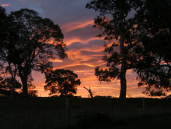 brutalgeneration:  Orange waves (by Murfomurf) 