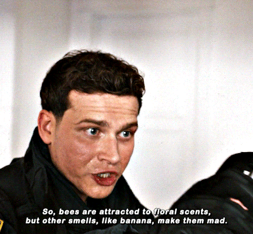 Buck "Bee Facts" Buckley9-1-1: 8.01 "Buzzkill"