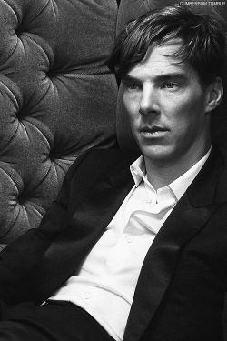 benedictcumberbatchsgirlfriend:  idrillia:  cumberbum: An Edit a Day ⚜ Benedict Cumberbatch ⚜ [329/?]  Oh dissolute!Batch how I love thee.  Cheekbones so sharp they could cut a bitch 