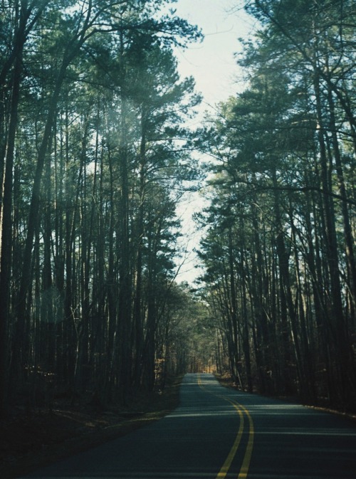 englishsnow:  { across north carolina }