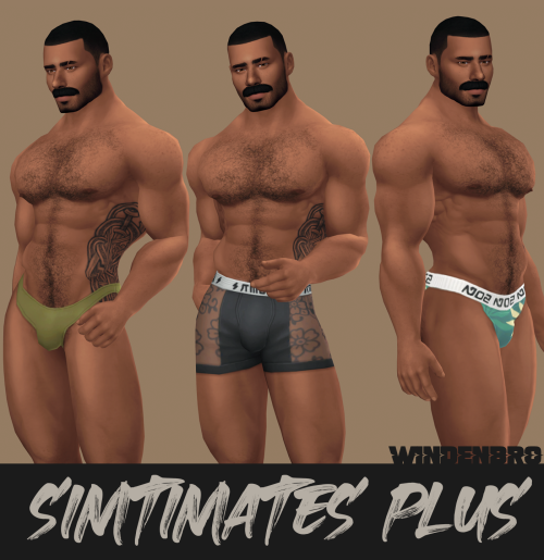 SIMTIMATES PLUS
