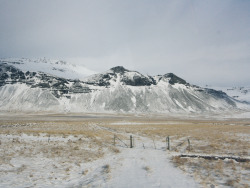 northskyphotography:  Snowy Iceland by North Sky Photography 