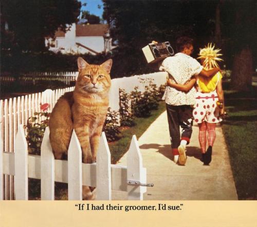 theunimpairedcondition:c86:Morris: A Cat For Our Times, 1986The more things change….