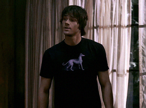 SAM WINCHESTER WEARING HIS PURPLE WHIPPET SHIRT SUPERNATURAL 1.18 ⛥ Something Wicked
