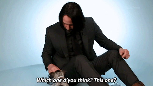 misheancolchester: pajamasecrets: Keanu playing with puppies! I feel like Keanu Reeves is the antit