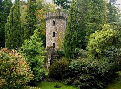 pagewoman:  Powerscourt Tower, Enniskerry, Co Wicklow, Ireland  by Bruce Glass