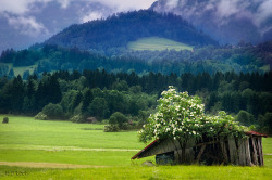 destroyed-and-abandoned:  Oberstdorf, Germany Source: H.B.Koch (flickr) 