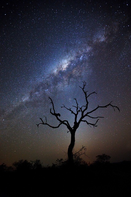 Afrika se Nag Lug by Xenedis on Flickr. (Africa’s Night Light)
