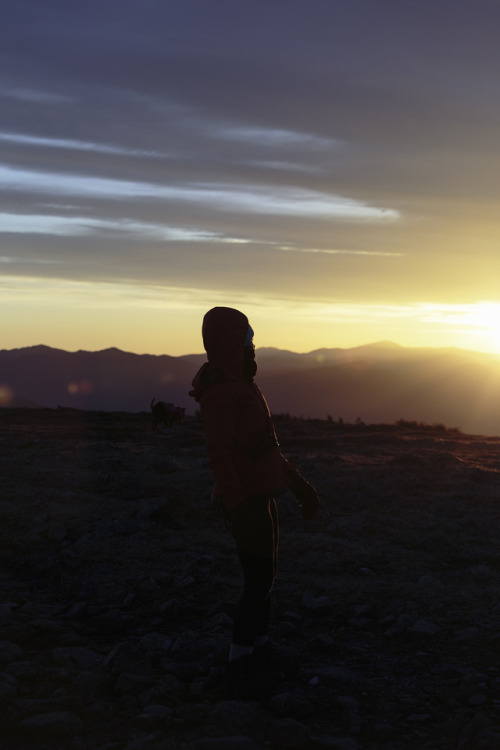 Lily, Moosilauke sunrise - May 20th 2017https://www.instagram.com/sterlingbrooks/