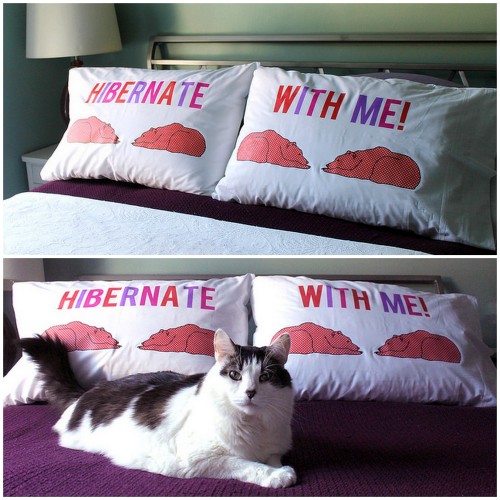 DIY Hibernate with Me Pillows Tutorial and Templates from Femme Fraîche.These DIY Hibernate with Me 