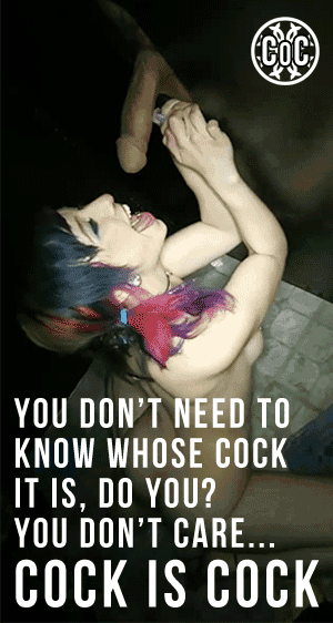 Curious Sissy