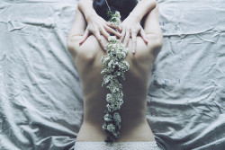 Flowerspine by Anna O. Photography 