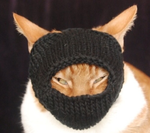 taylorgirl1129:I looked up “cat burglar” was not disappointed.This one came up for me