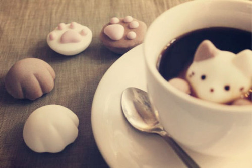 nanaisreal:  marshmallow cats