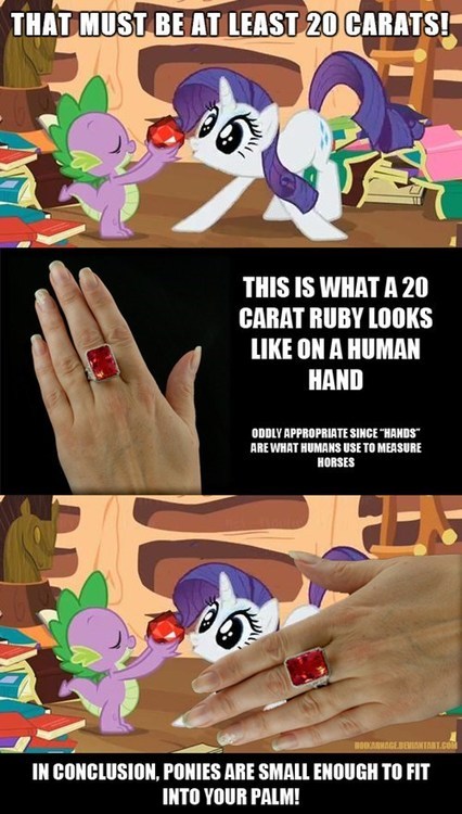 tymorrowland:  kkneesockks:silver-tongues-blog:vexhoor:changeling-collective: iguanamouth:  jedilunawinchester:  iguanamouth:  thekimbroughthe:  fatass-mcnotits:  iguanamouth:  darkforestwarrior:  iguanamouth:  are the mlp horses the same size as actual