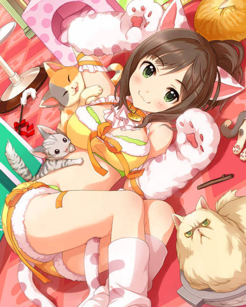 cinderella-girl-srs:  [チャーミングキャット]前川みく [Charming Cat] Maekawa Miku 