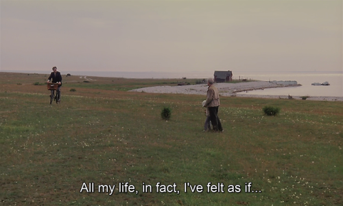 timotaychalamet:The Sacrifice (1986) dir. Andrei Tarkovsky