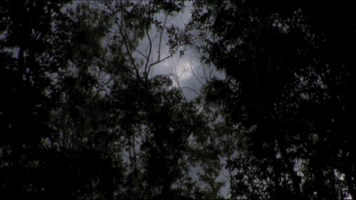 kinomiroir:Apichatpong Weerasethakul, A Letter to Uncle Boonmee