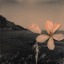 dream-sequences