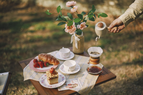 2022-04-02Spring, Cherry Blossom PicnicCanon EOS R3 + RF50mm f1.2LInstagram  |  hwantastic79vivid