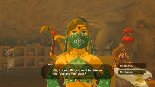 heroofhyrulelink:WHAT DOES THIS MEAN LINK