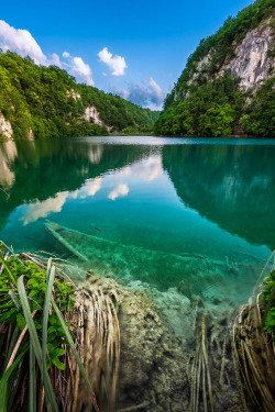 travelingcolors:  Sunk Boat in Plitvice Lakes