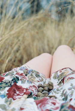 calms:  wonderful-roses:  marisais:  untitled