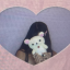 loveisagentlething1