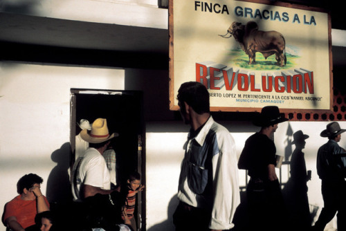 olordelaguayaba: Alex Webb CUBA. Havana. 2002. Agricultural fair, outskirts of Havana.