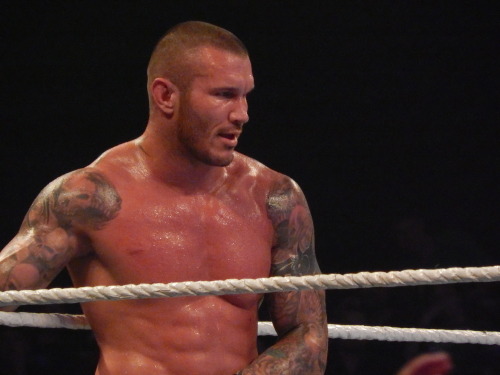 Porn cobra-la-la-la-la-la—clutch: Randy Orton photos