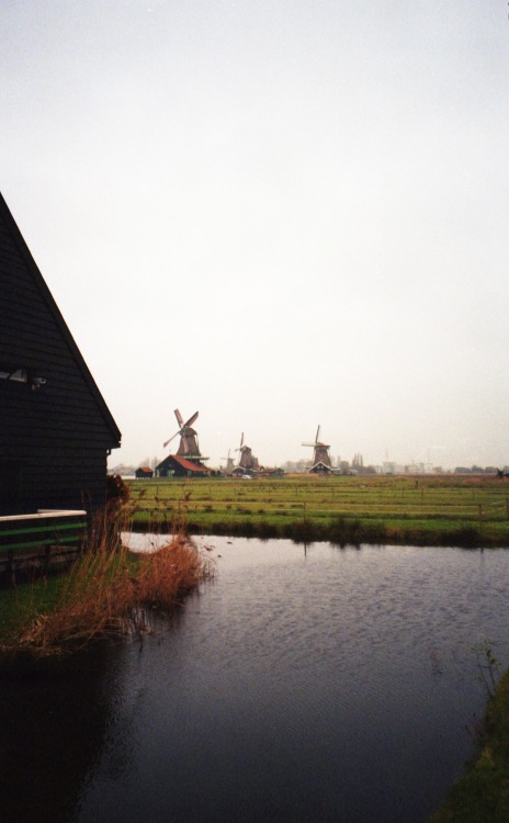 At Zaanse Schans. 風車の残る歴史村、ザーンセスカンスにて。