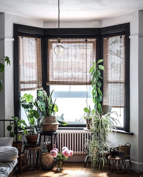 black window frames add drama by contrasting the natural light with the artificial dark ig source : 