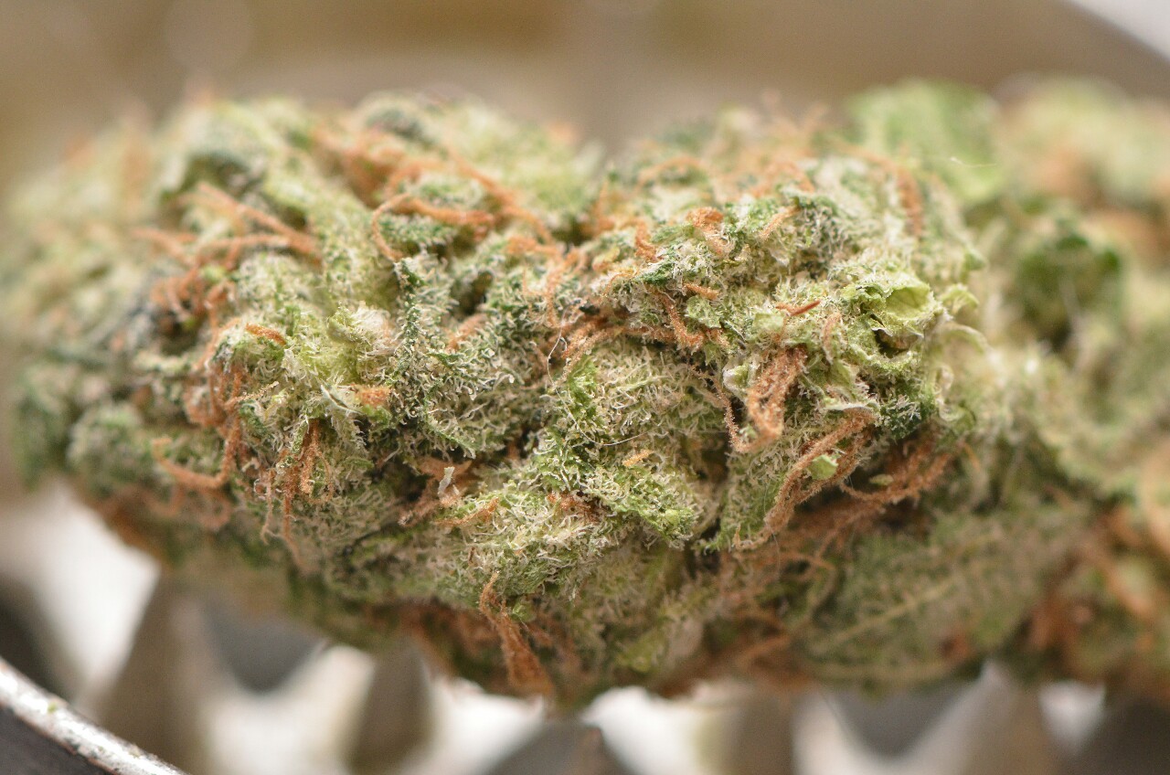 Smells Like Bong Water