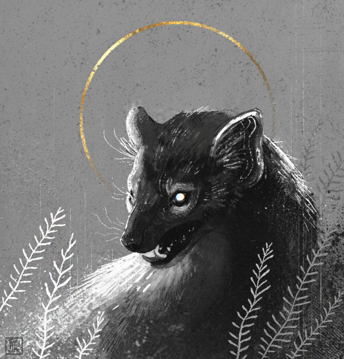  ◦  pine marten sketch commission ◦ ◦ instagram: isnyr ◦◦ my tip jar: ko-fi ◦