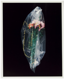 Jennilee:  Lynn Hershman - Untitled 1978-94 (Via Walker Art Center Collection Favorites)