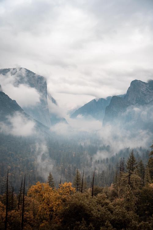 XXX oneshotolive:  Yosemite National Park! [OC][3878x5817] photo