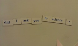 deanon:  the profound things that happen when you leave writing tutors alone with magnetic words 