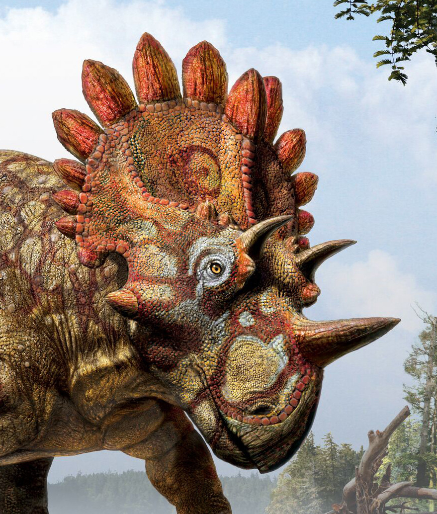 skunkbear:  NEW DINOSAUR ALERT!!!!!Nickname: “Hellboy”The bones of the new species,